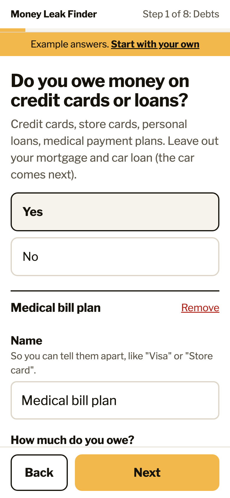 A Leak Finder question on a phone: Do you owe money on credit cards or loans?